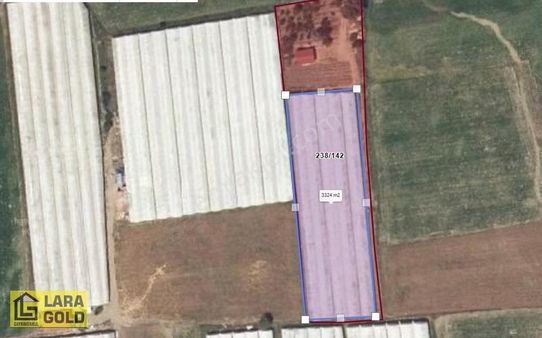 Burdur Çavdır Söğütte Tek Tapu Kurulu Düzen, Sera - Ev- Ağaç