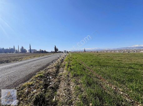 An Yapıdan Büyükkavaklı'da Satılık Yola Sıfır Tarla