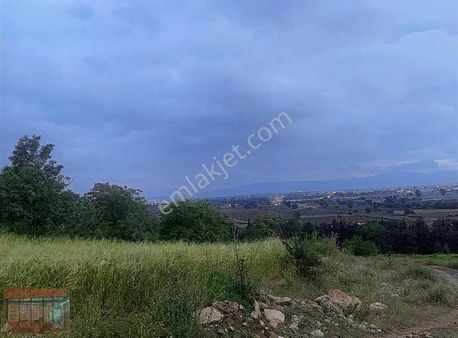 Yenişehir Merkeze Yakın Akdere De 1300 M2 Tarla