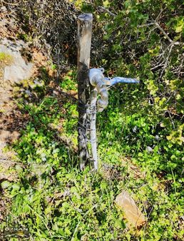 Yatağan Yava Köyünde Satılık 23.135 M2 Zeytinli Tarla