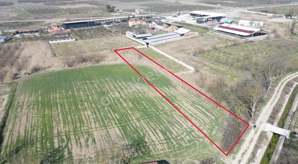 Sng Gayrimenkul Den Safıbeyde 1.700 M2 Fırsat Arazi