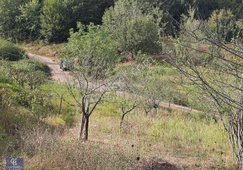 Avluburun Koyu Satilik 1200 M2 Tarla