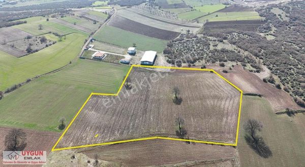 Akcapınarda Satılık Tarla