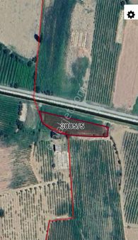 Manisa Salihlisarıpınar'dasatılıkbağ