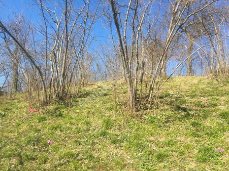 Fırsat Arazi Fındıklık