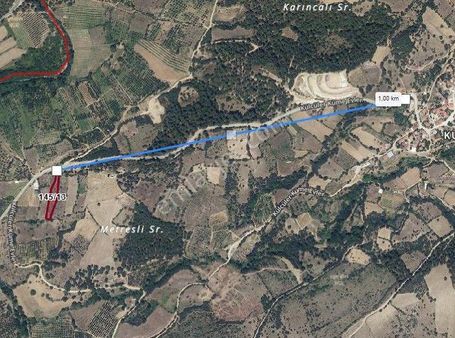 Bayramiç Külcüler'de Satılık Tarla