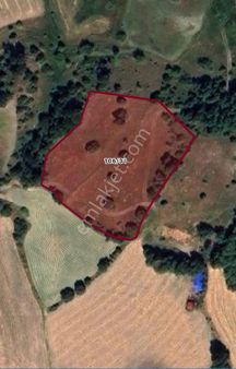 Hedef Emlak'tan Satılık Tarla