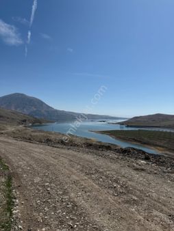 Arıkandan Arguvanda Satılık 30 Dönüm Tarla