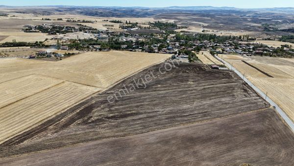 Subaşında Köy Yakını 22dönüm Tarla Asfalta Cephe Karadeniz Emlak