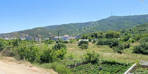 Detay Emlaktan Bandırma Sahil Yenice Mahallesinde Satılık 1274m2 Tarla !