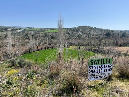 Yenice Karacasu Yol Üzerinde Çamköy Mevki Asfalta Sıfır Tarla