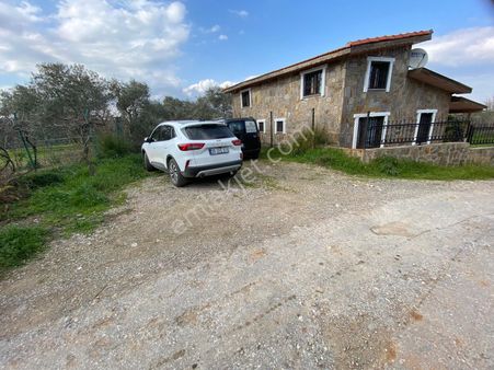 Satılık Yatırımlık Ful Zeytinlik Yolu Suyu Var Eletrik Alınır