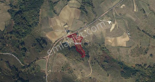 Kocaeli Kandıra Ahmethacılar 4917 M2 Satılık Tarla