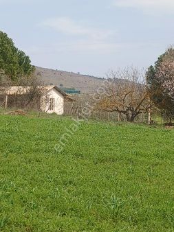 Manisa Üçpınarda Villaların Altında 13 Dönüm Yatırımlık Tarla Mevki Konumda