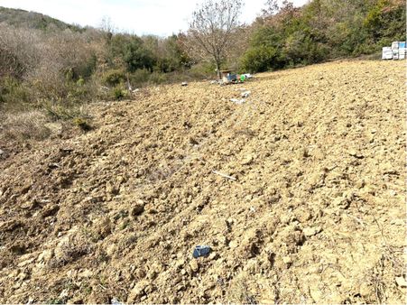 Tırpan Gayrimenkulden Kaymakobada 425m2 Tek Tapu Asfalta 1 Parsel Tarla