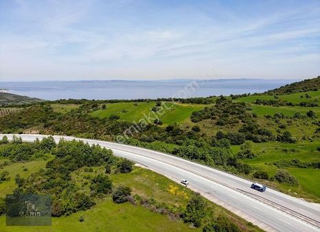 Çanakkale Lapseki Güreci'de Satılık Asfalt Cepheli Hobi Bahçesi