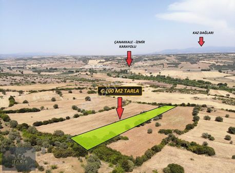 Çanakkale Ezine Şapköyde Satılık Tarla