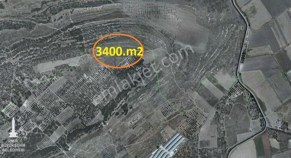 Doğal Yaşam İçin Zeytin Ve Meyva Ağaçlı Satılık Tarla