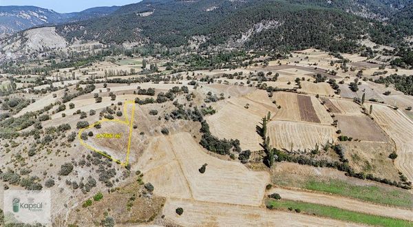 Amasya Hamamözü Dede Mahallesinde 4.766 M² Müstakil Tarla