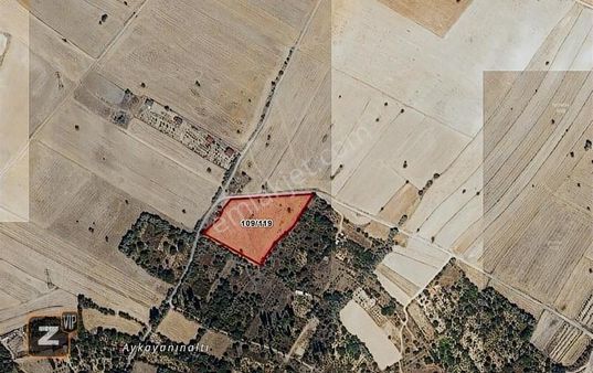 Gesi Subaşı Nda Satılık Yatırımlık Tarla