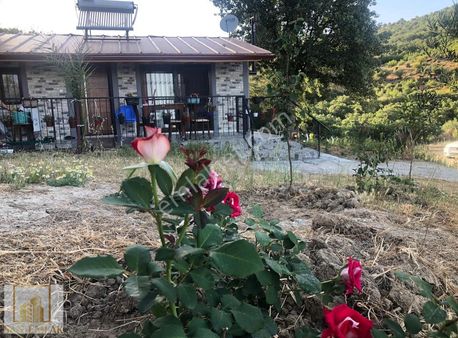 Dialog Vera Gayrimenkul Den İzmir Bergamada Zeytinlik