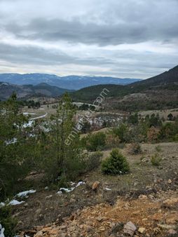 Acil Bursa Büyükorhan Da Satılık Tarla Fırsatı