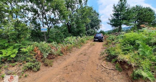 Ay Emlak'tan Armutlu Selimiye Köyü Soğuksu Mevkiinde 38.750 M2 Tarla