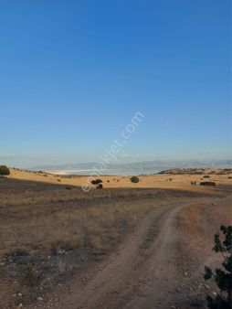 Burdur Merkez İlyas