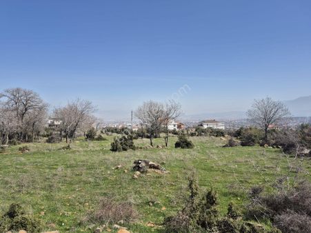 Redstone Myra Dan Şirinköy Mahallesi Nde Satılık Tarla