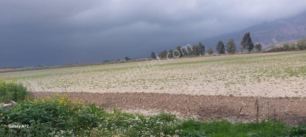 Söke Gölbent Satılık 6,7 Dönüm Tarla