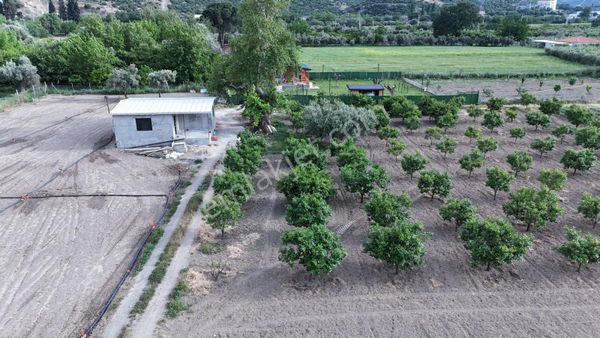 Okkalı Emlak Tan Menemen Emiralem Yayla Mah. De Satılık Bahçe