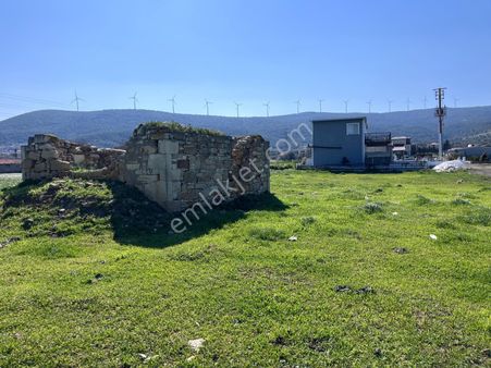 Yenifoça Cumhuriyet Mah.satılık Hobi Bahçesi