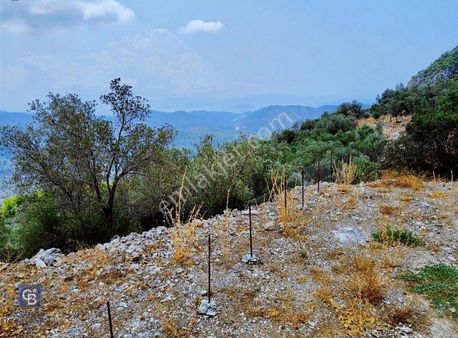 Muğla Fethiye Gökçeovacıkta Satılık 643mt2 Tarla