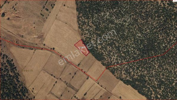 Asya Evim Emlaktan Ağlasun Dereköy De Satılık Tarla