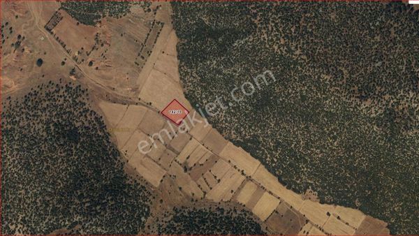 Asya Evim Emlaktan Ağlasun Dereköy De Satılık Tarla