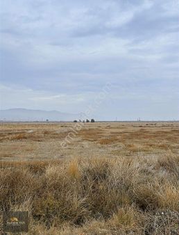 Denizli Asfaltında Yola Sadece 50m Mesafede 27.5 Dönüm Müstakil