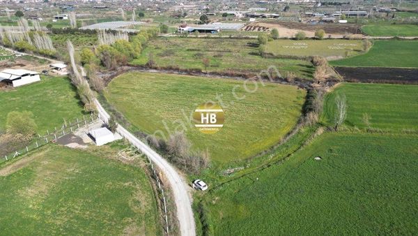 H'den Satılık Tarla, Kadastral Yol Cepheli Verimli Tarım Arazisi