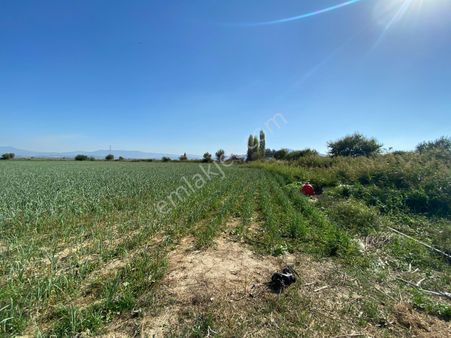 Torbalı Emlak'tan Arslanlarda 15300m2 Elektrik, Yol Ve Suyu Olan Tek Tapu Müstakil Parsel Arazi