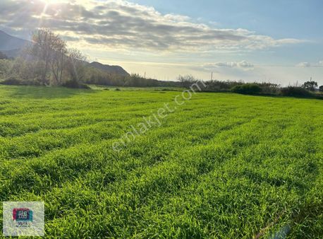 Muğla Datça Da İmar Sınırında Satılık Tarla
