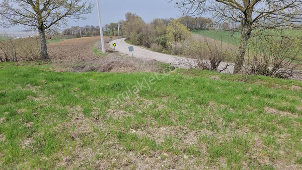 Gönen Çınarlı Köyün'de Ana Asfalta Cephe Satılık Tarla