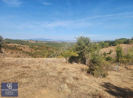 Çanakkale Çan Bardakçılar Köyü Satılık 16.500 M2 Arazi