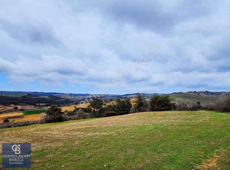Edirne Keşan Gökçetepe Satılık 9.051 M2 Arazi
