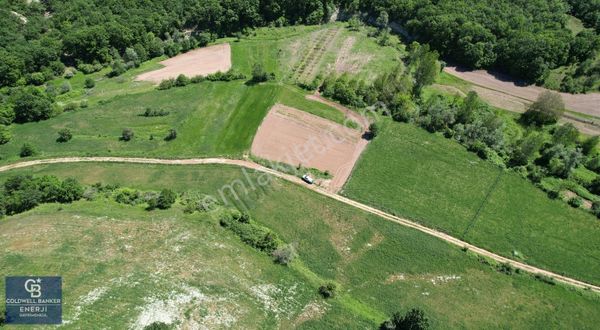 Kırklareli Pınarhisar Satılık 3.927 M2 Arazi