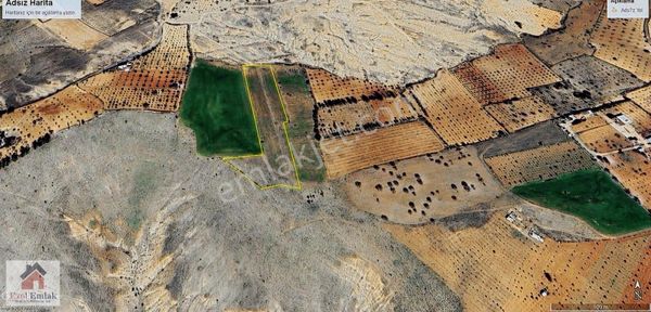 Ezel Emlak Tan Gülpınar Mhl De 8935 M2 Satılık Arazi