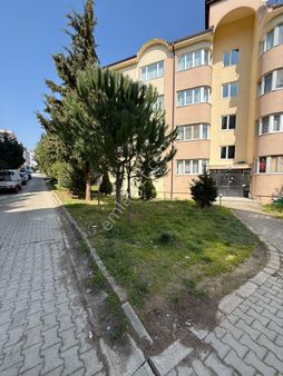 15 Temmuz Camili Mah. 1625 Ada Essen Market Arkası