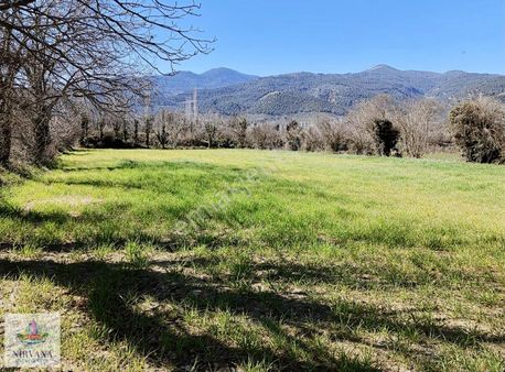 Karacasu Yenicede Sulu Verimli Bahçe 2442 M2