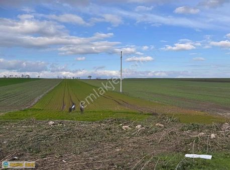 Beyköy De Asfalta Cephe 2 Tapu 170 Dönüm Arsa