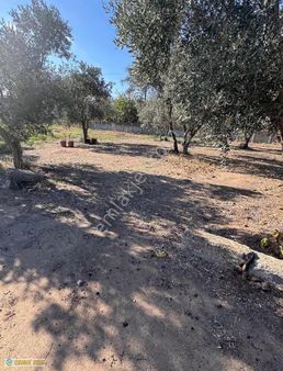 Erdek Yukarıyapıcı Da İskanı Alınmış 4 Dönüm Arazi İçerisinde Ev