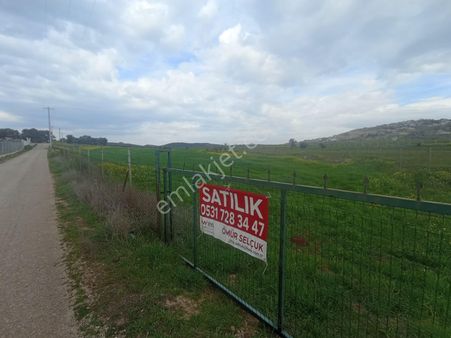 Satılık Yenibağarası İmamtepe Mevkii Şahane 10.941 M2 Tarla