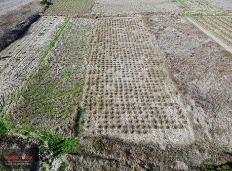 Çanakkale'nin Turizm Cenneti Bozcaada'da 2200 M² Bağ